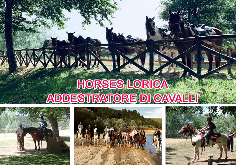 Horses Lorica  Addestratore di cavalli