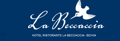 HOTEL RISTORANTE LA BECCACCIA***