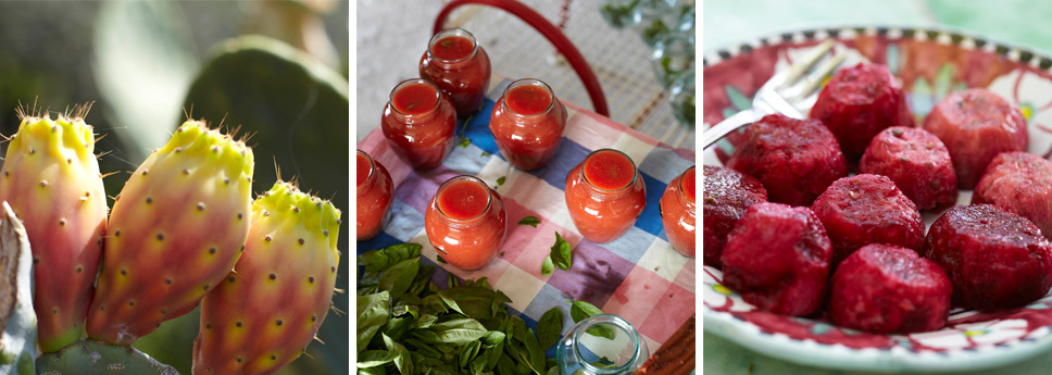 Our specialties Image